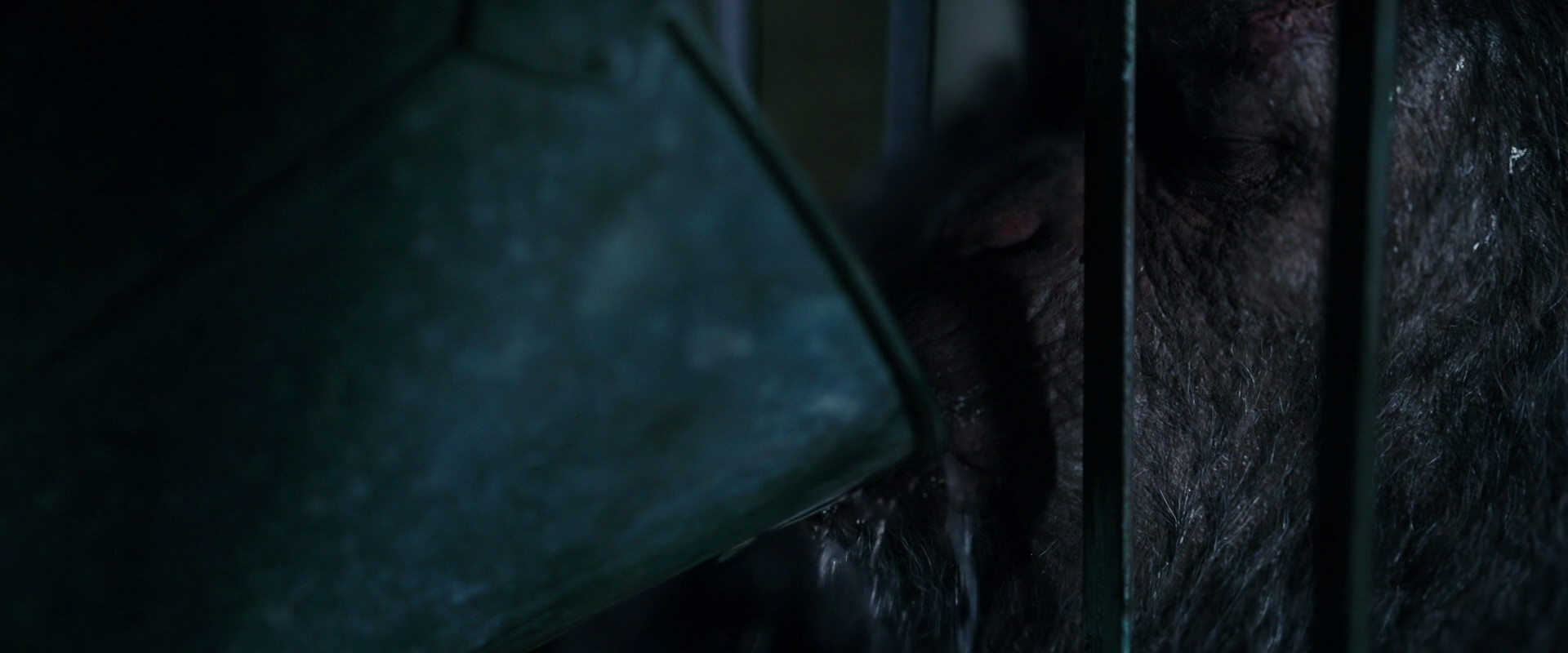 War for the Planet of the Apes (2017) movie still 10849