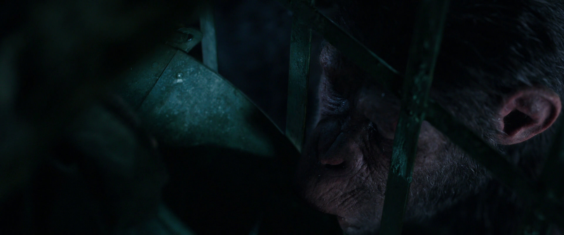 War for the Planet of the Apes (2017) movie still 10858