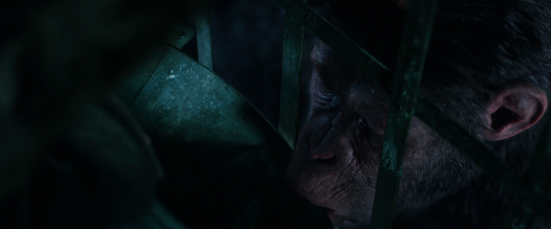 War for the Planet of the Apes (2017) HD screenshot 10859
