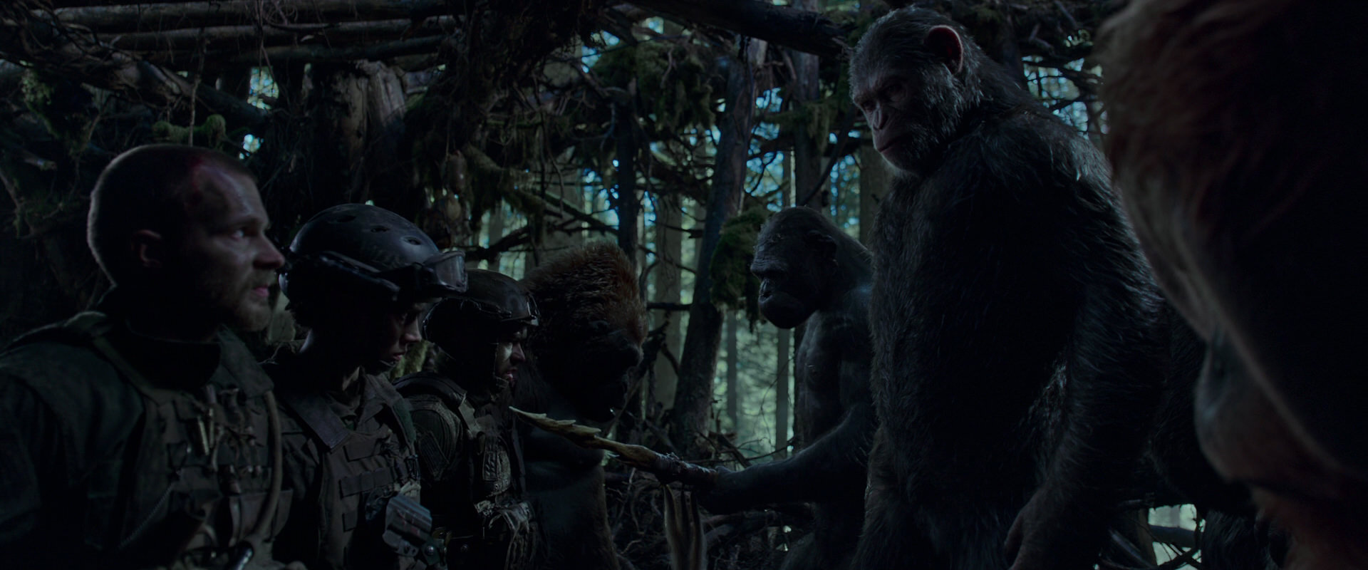 War for the Planet of the Apes (2017) screencap 1086