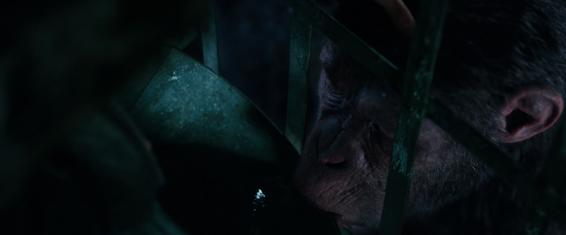 War for the Planet of the Apes (2017) screencap 10860