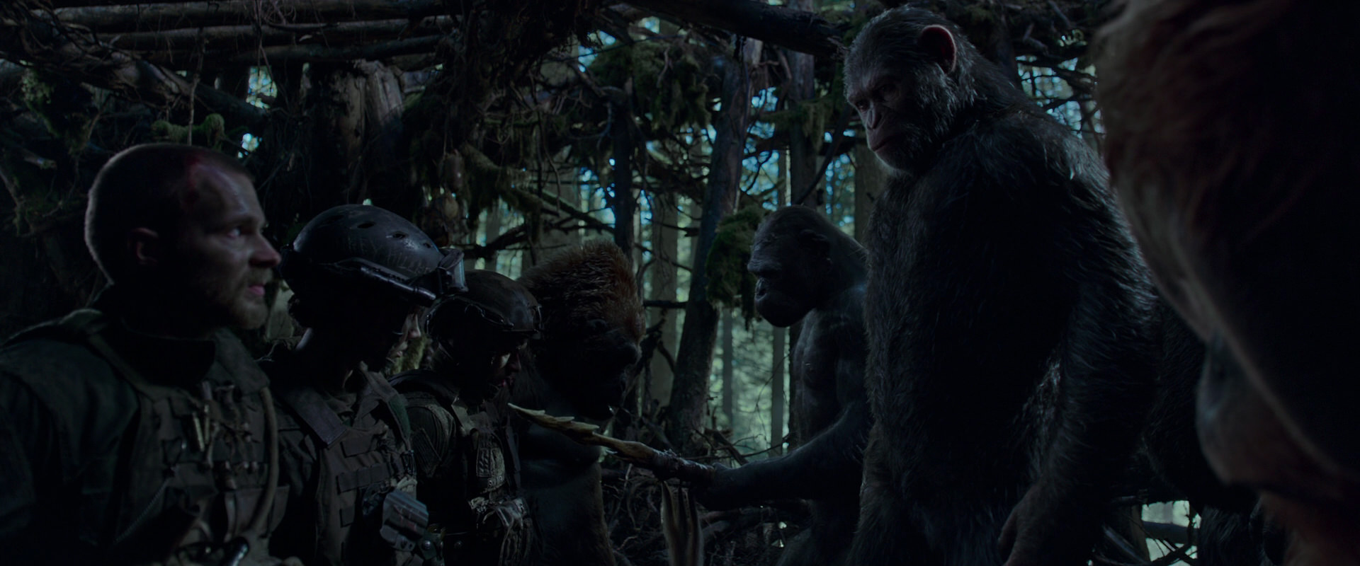 War for the Planet of the Apes (2017) movie still 1087