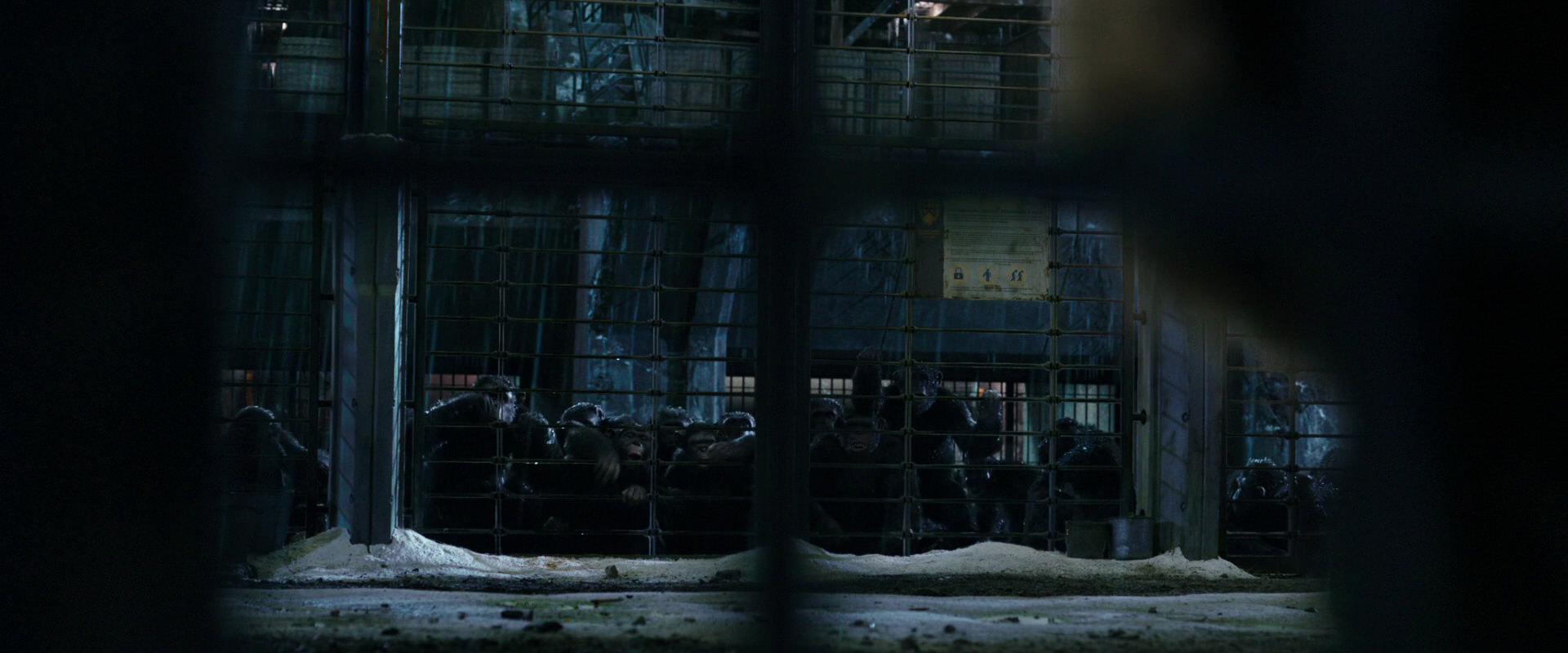 War for the Planet of the Apes (2017) HD screenshot 10871