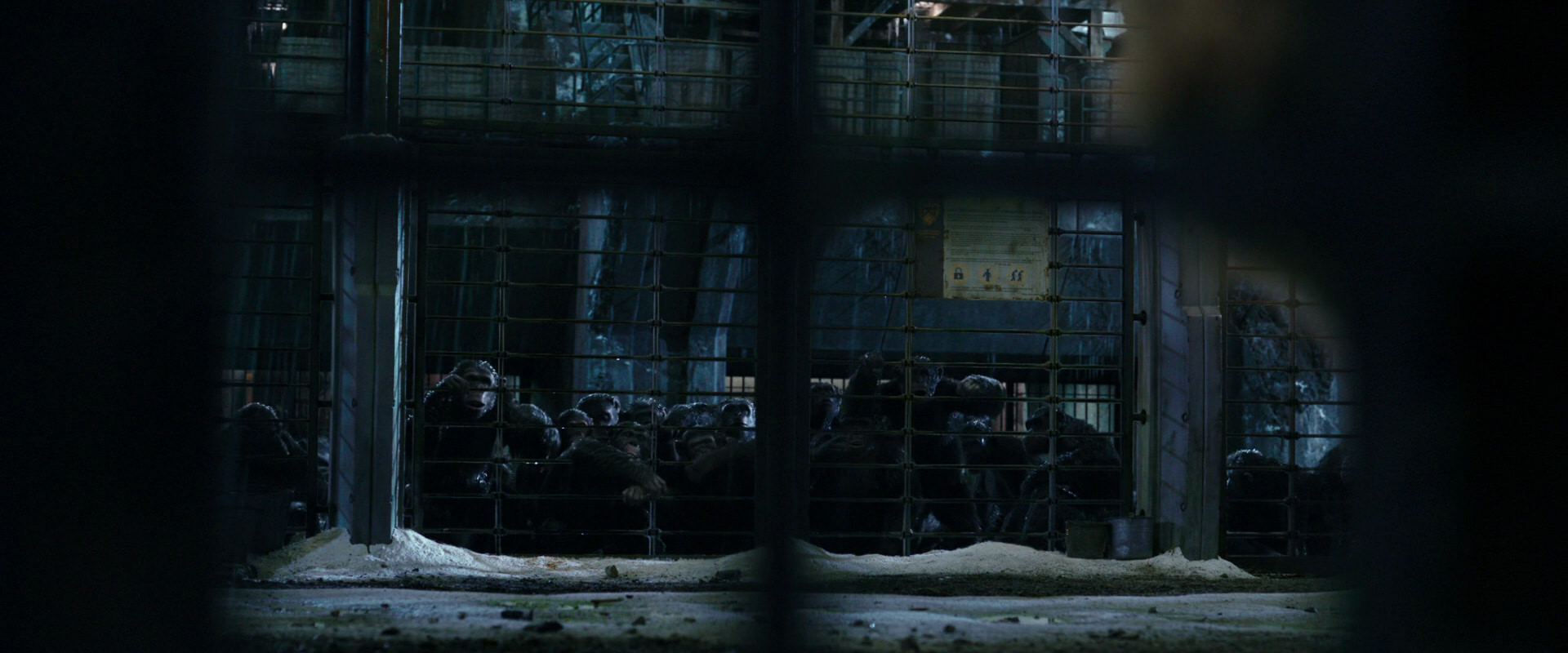 War for the Planet of the Apes (2017) screencap 10872