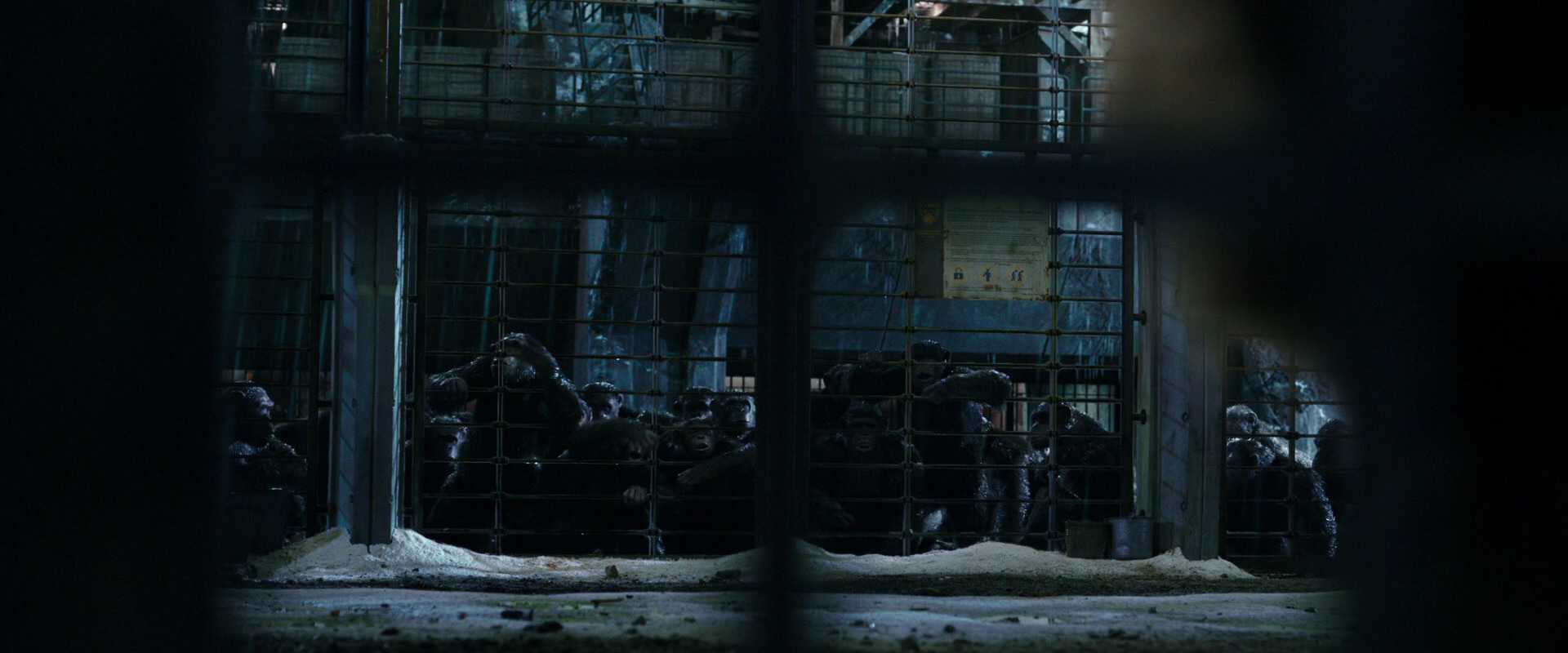 War for the Planet of the Apes (2017) HD screenshot 10874