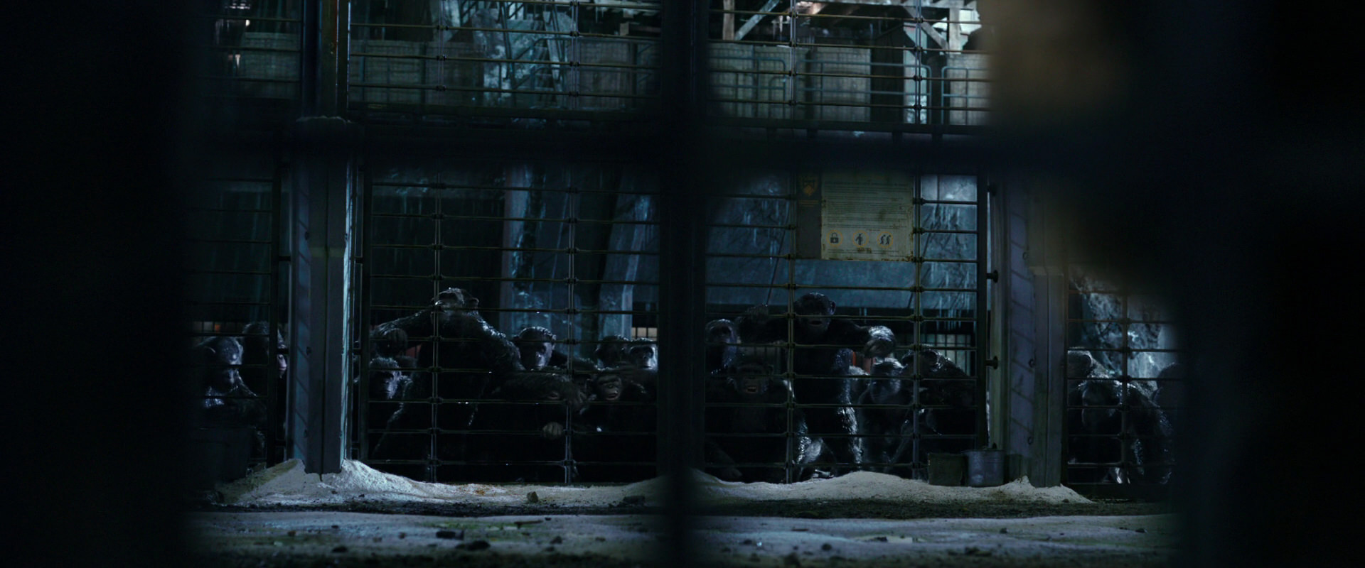 War for the Planet of the Apes (2017) screencap 10875