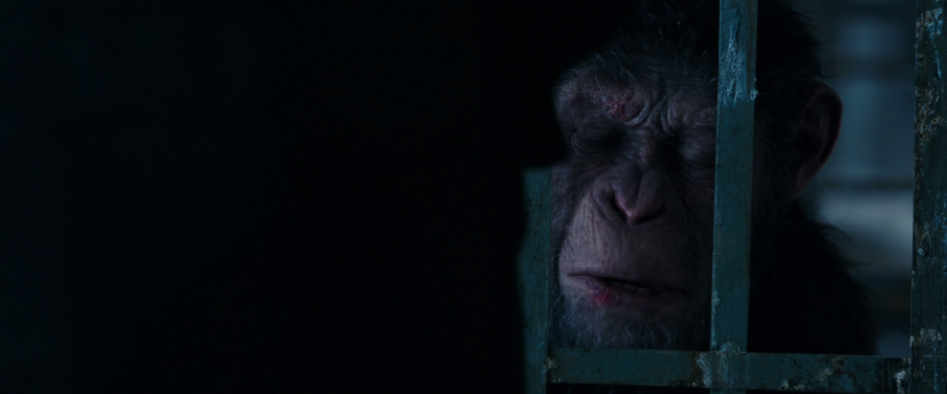War for the Planet of the Apes (2017) screencap 10881
