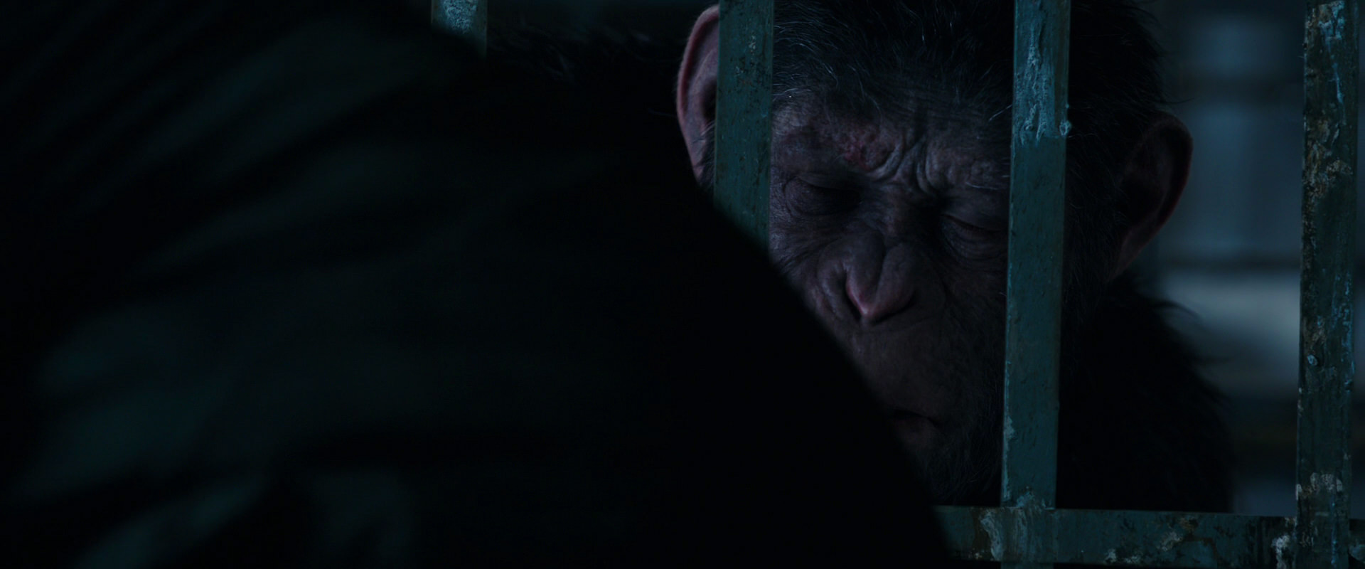 War for the Planet of the Apes (2017) HD screenshot 10883