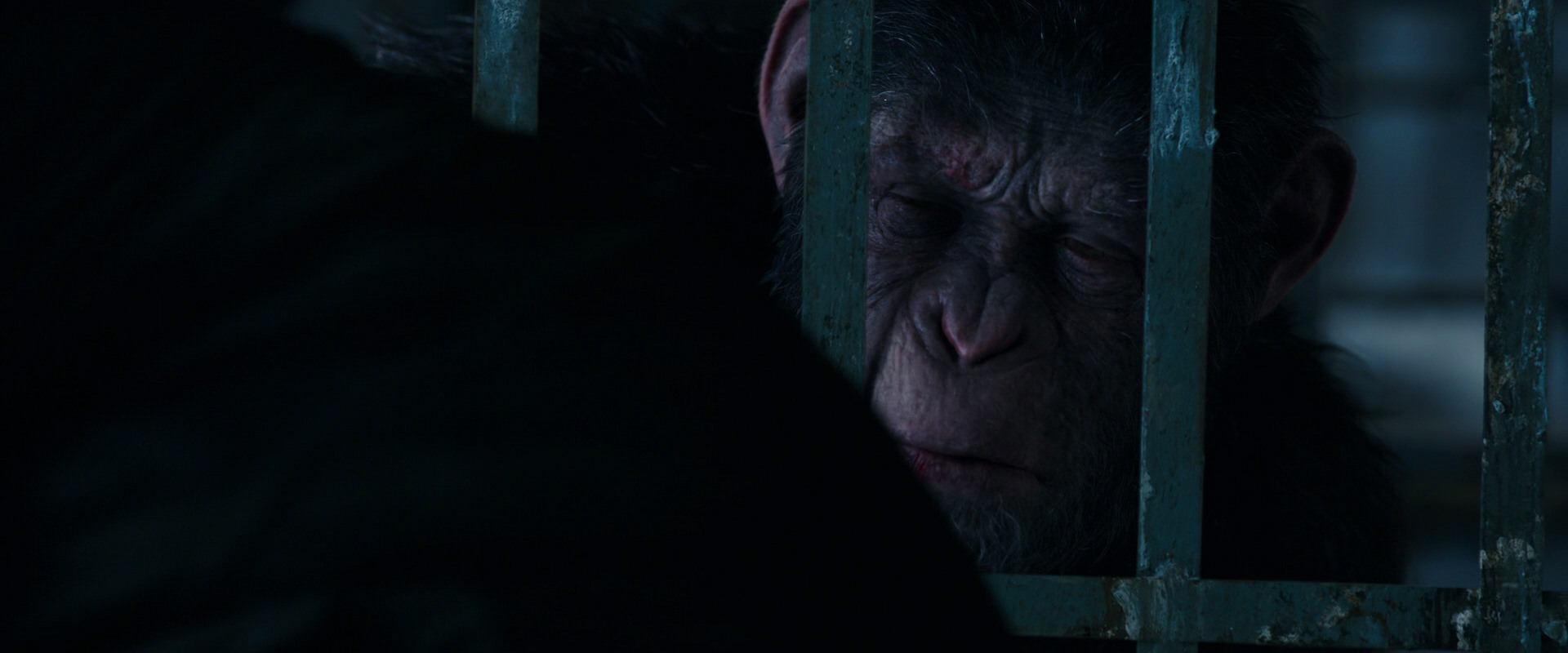 War for the Planet of the Apes (2017) screencap 10884