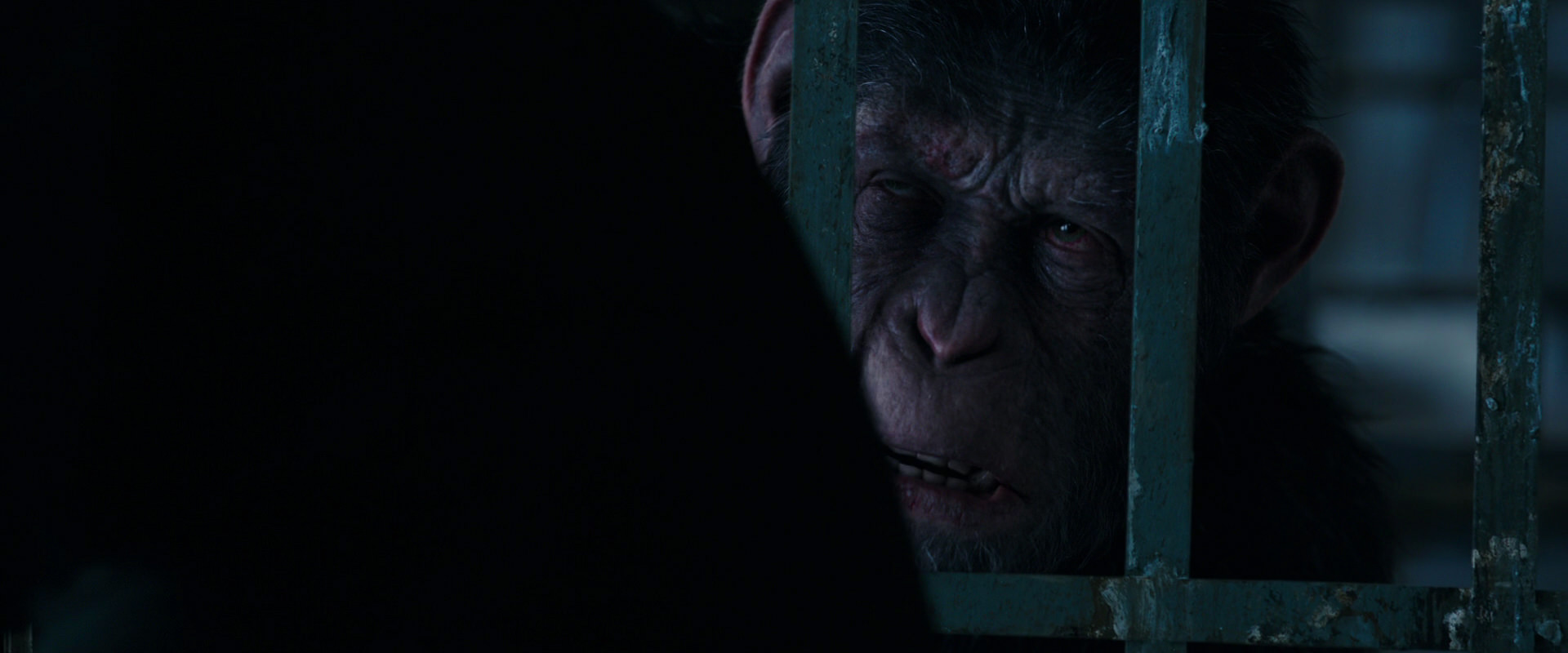 War for the Planet of the Apes (2017) movie still 10885