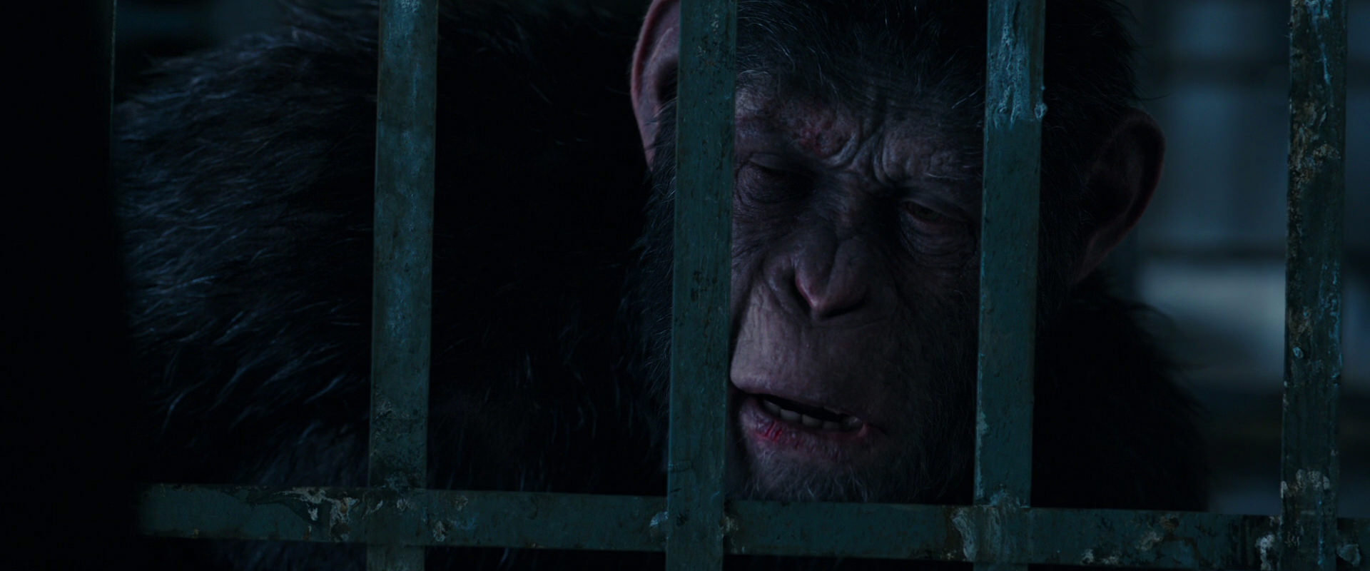 War for the Planet of the Apes (2017) HD screenshot 10886