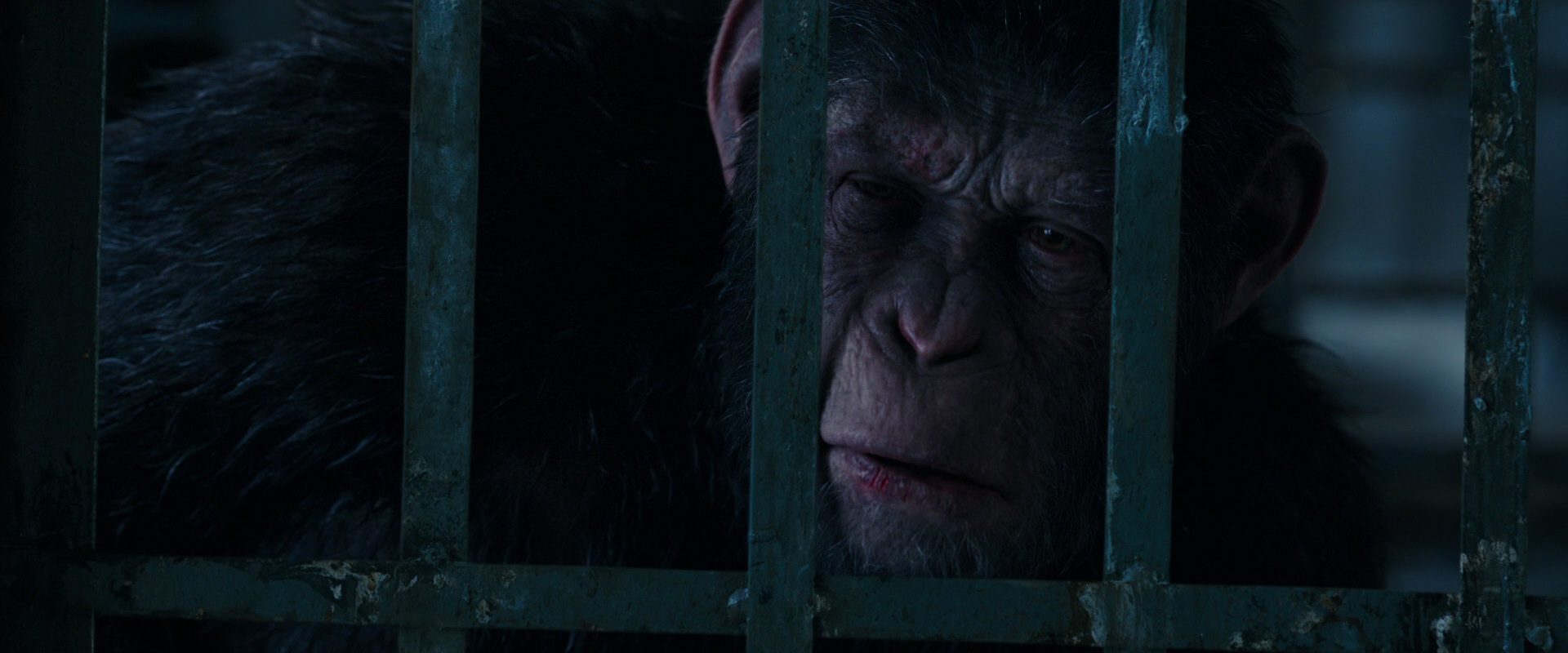War for the Planet of the Apes (2017) screencap 10887
