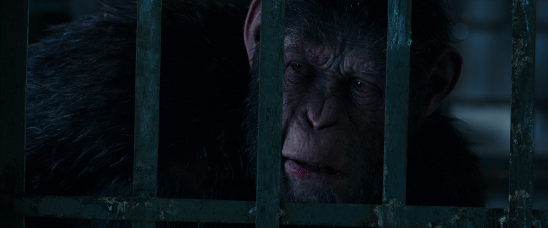War for the Planet of the Apes (2017) movie still 10888