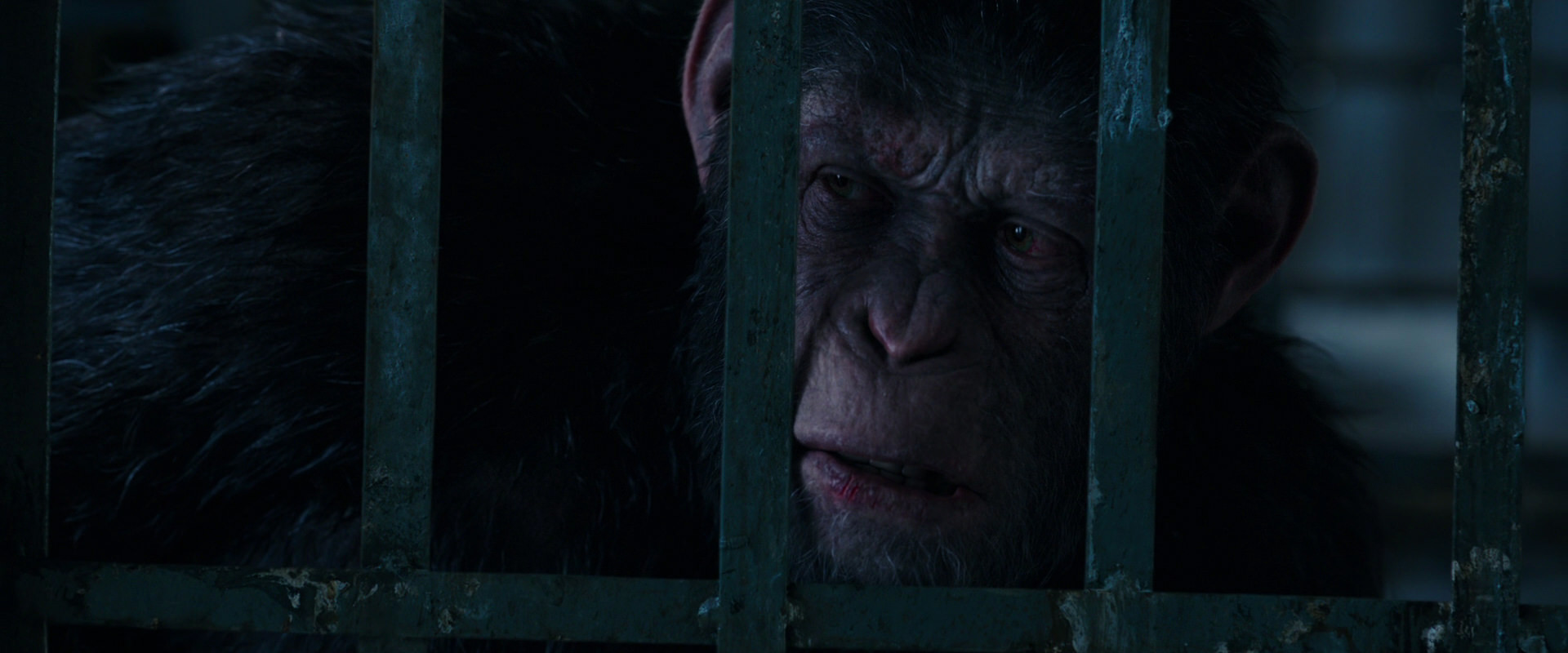 War for the Planet of the Apes (2017) HD screenshot 10889