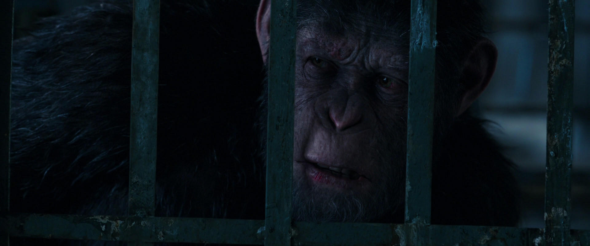 War for the Planet of the Apes (2017) screencap 10890