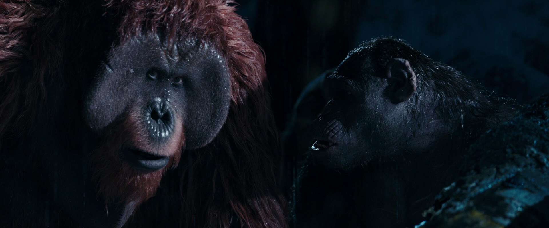 War for the Planet of the Apes (2017) HD screenshot 10898