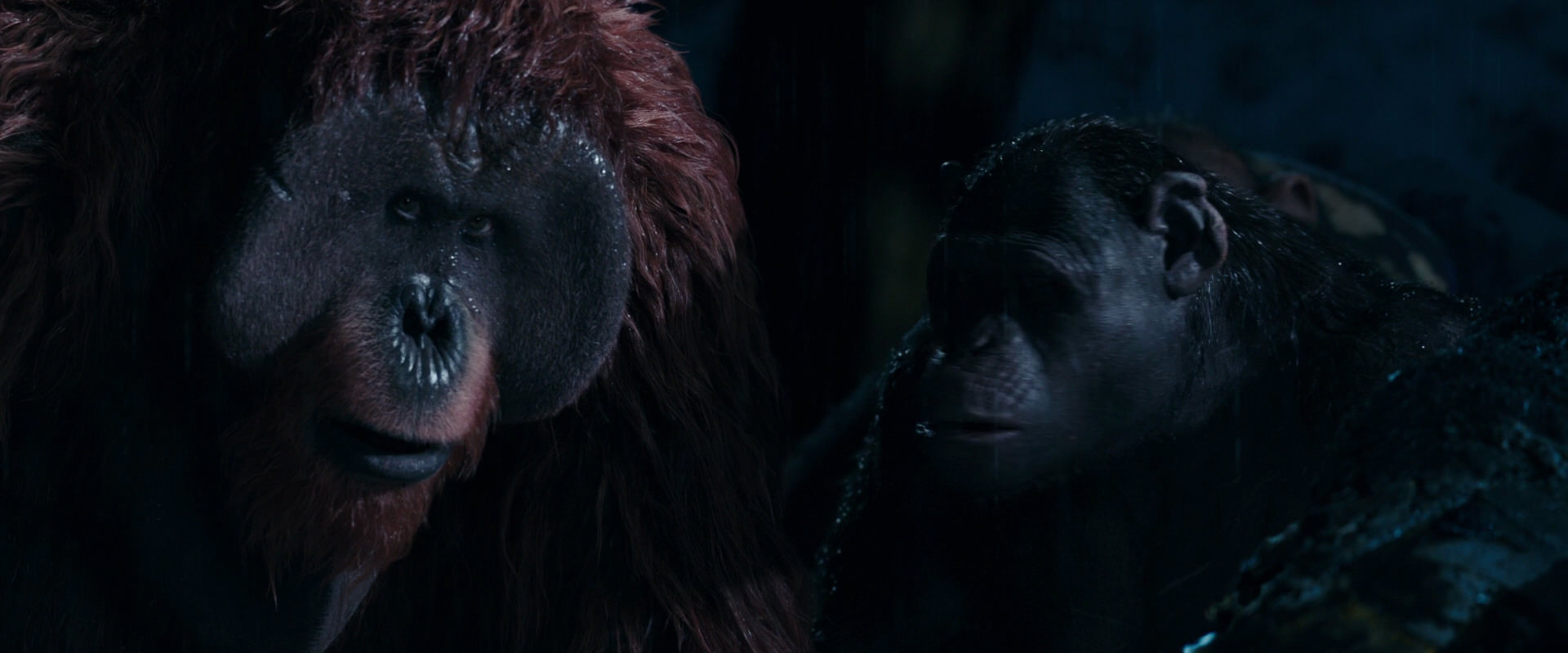 War for the Planet of the Apes (2017) screencap 10899
