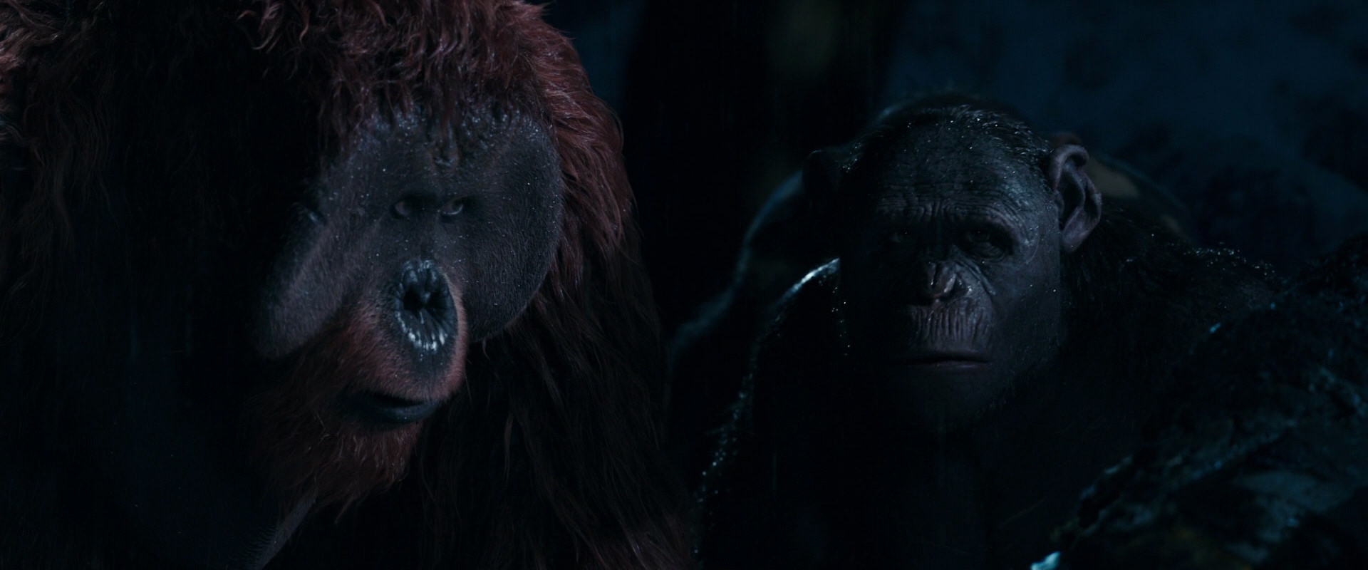 War for the Planet of the Apes (2017) movie still 10900