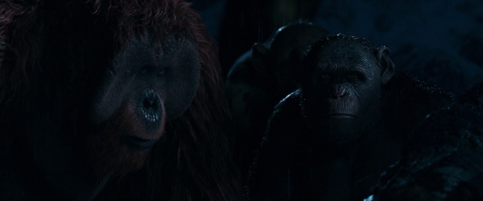 War for the Planet of the Apes (2017) HD screenshot 10901