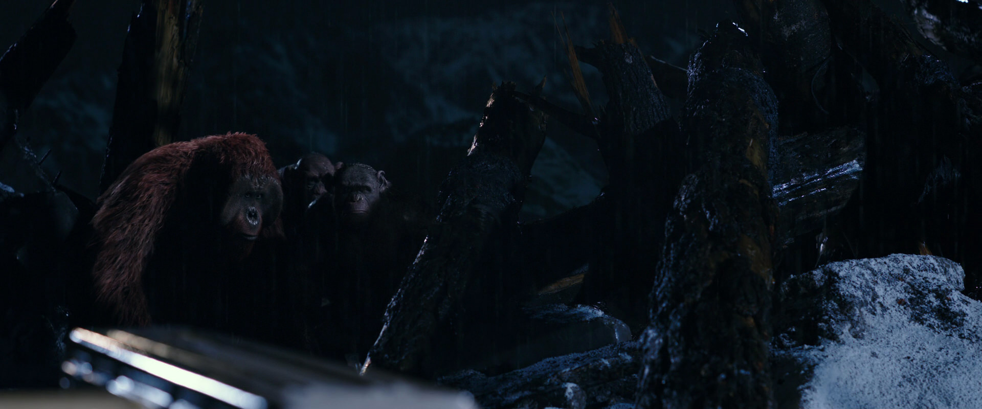 War for the Planet of the Apes (2017) screencap 10902