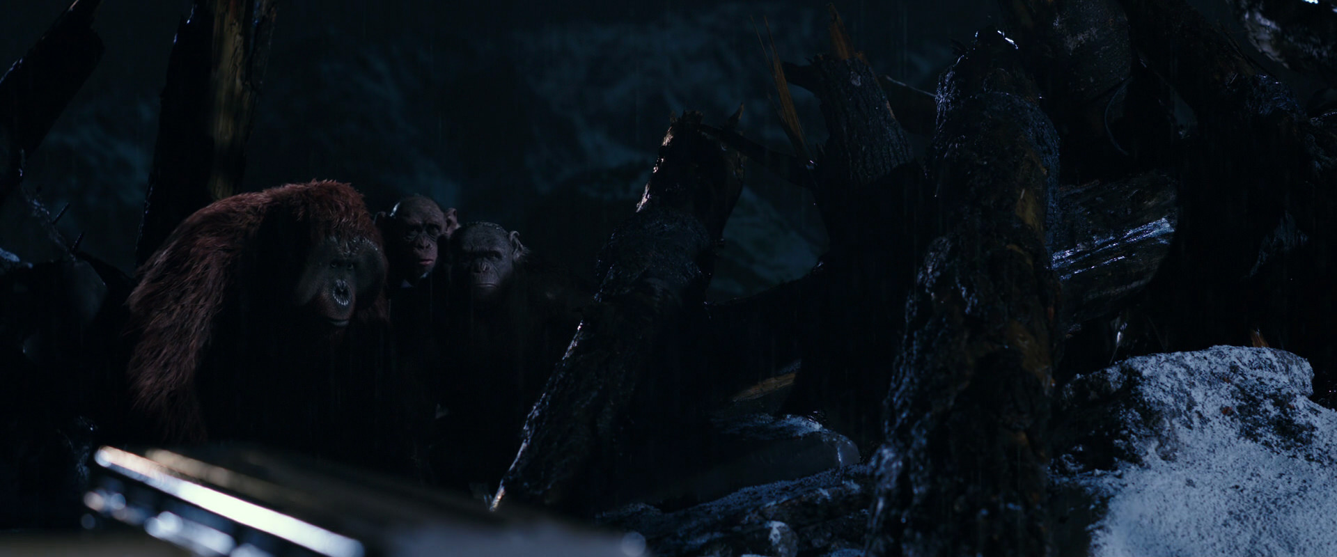 War for the Planet of the Apes (2017) movie still 10903