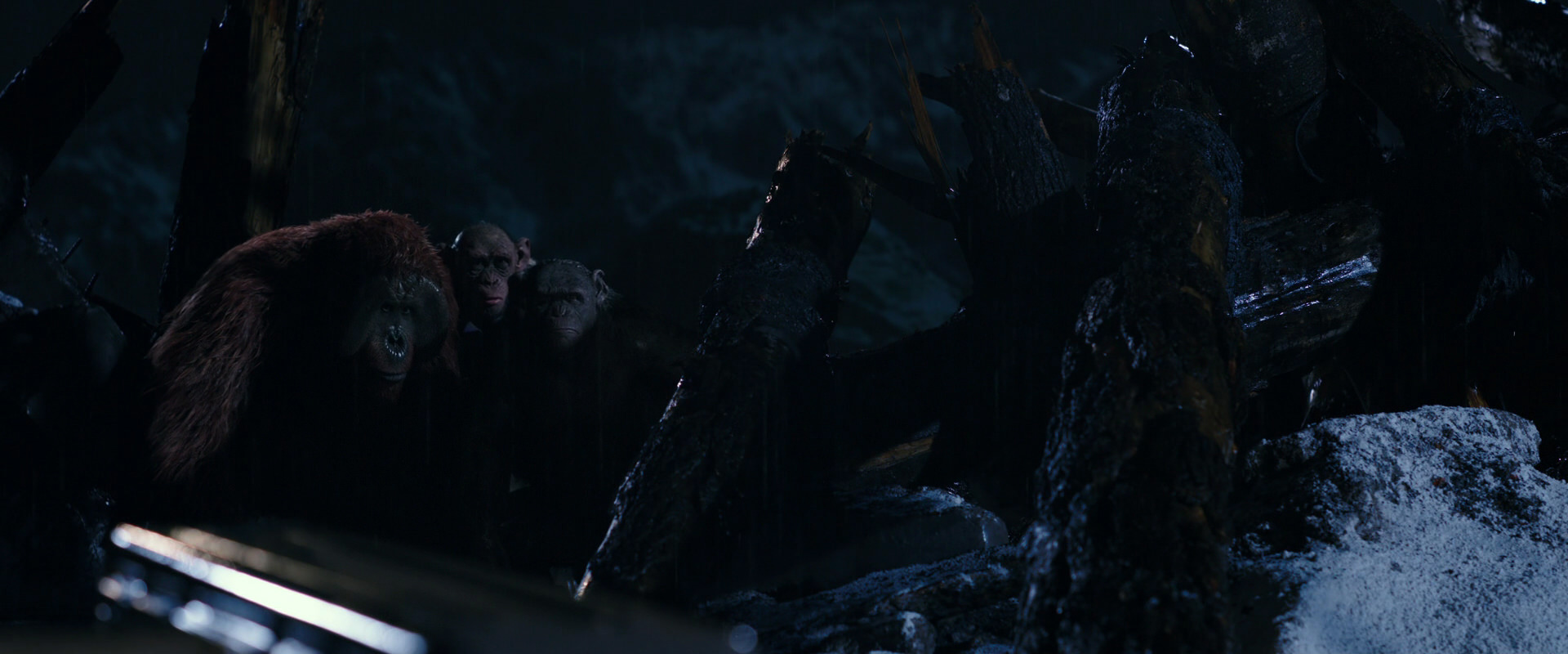 War for the Planet of the Apes (2017) HD screenshot 10904