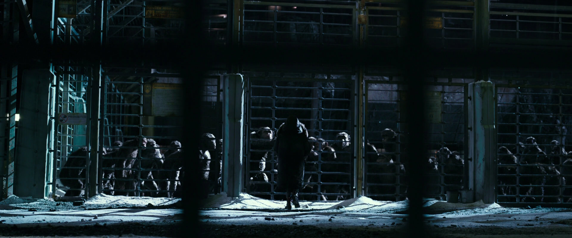 War for the Planet of the Apes (2017) movie still 10906