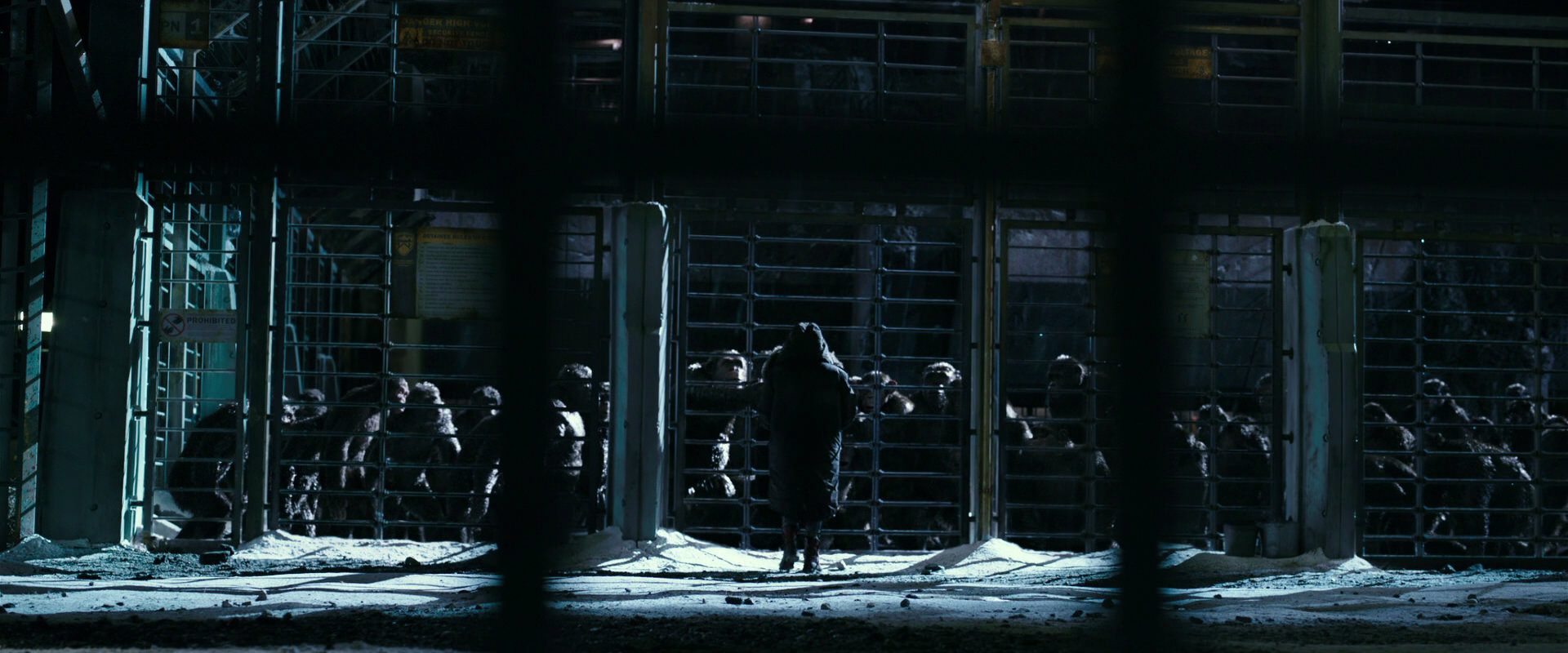 War for the Planet of the Apes (2017) HD screenshot 10907