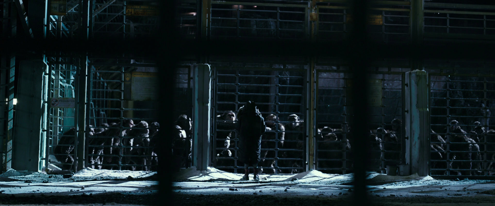 War for the Planet of the Apes (2017) screencap 10908
