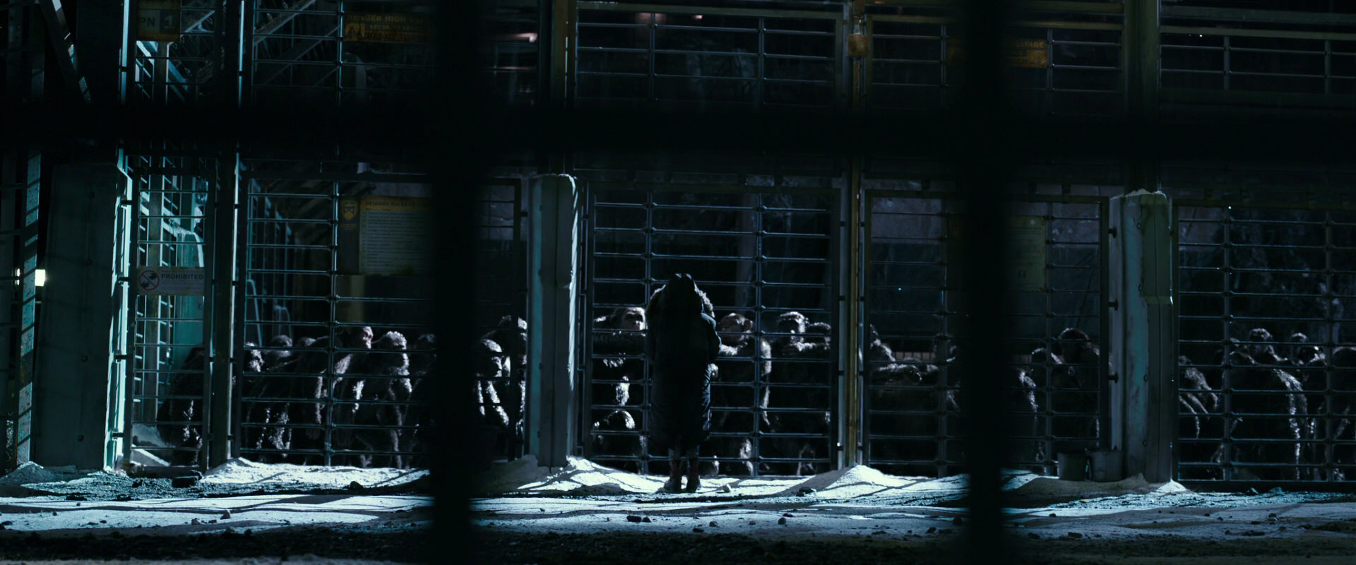 War for the Planet of the Apes (2017) movie still 10909