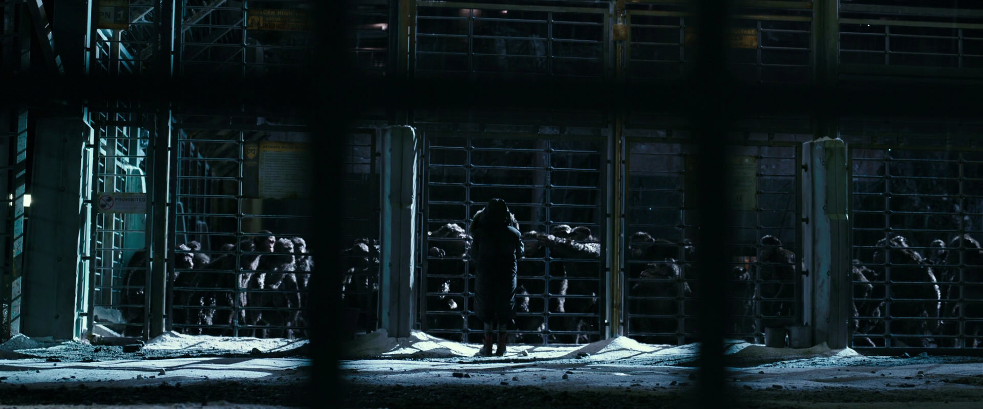 War for the Planet of the Apes (2017) screencap 10911