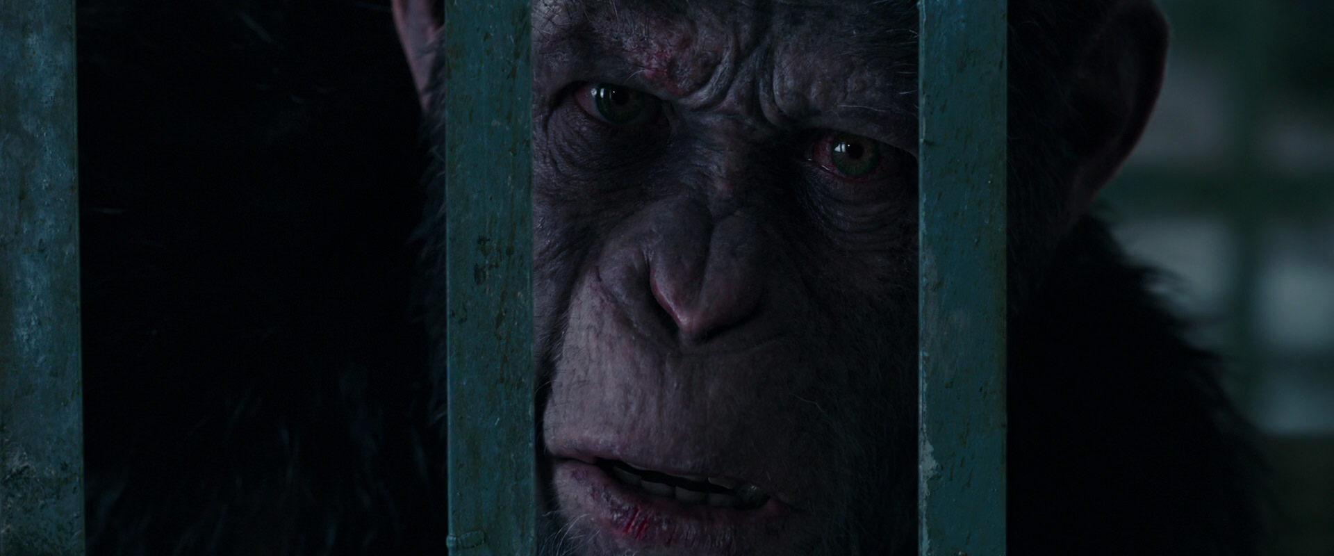 War for the Planet of the Apes (2017) movie still 10912