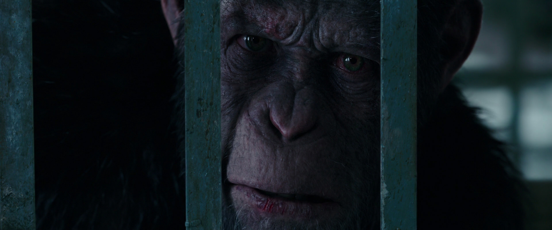 War for the Planet of the Apes (2017) HD screenshot 10913