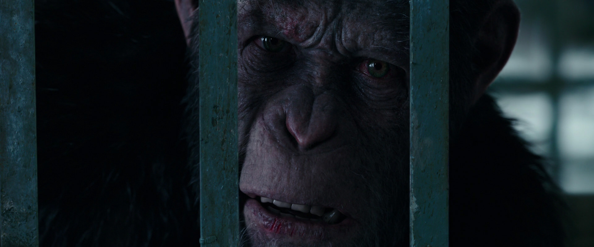War for the Planet of the Apes (2017) screencap 10914