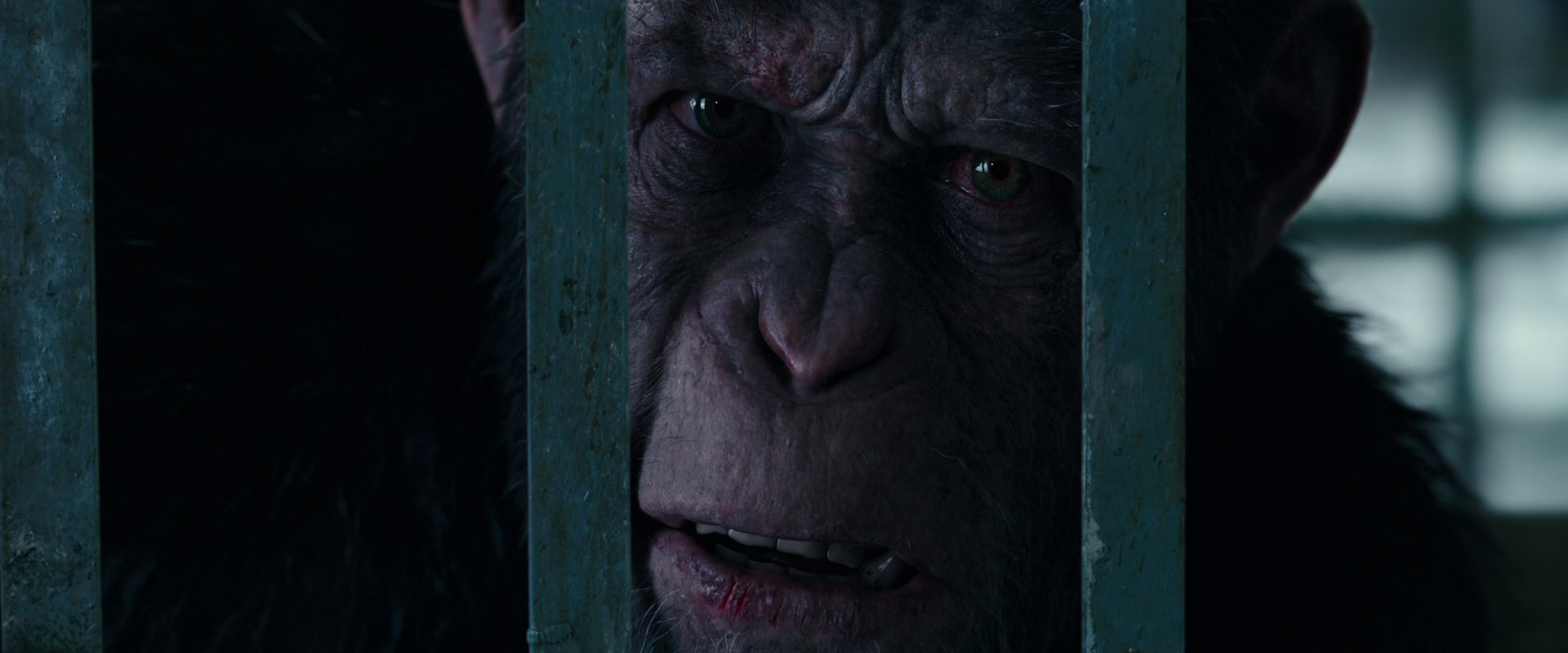 War for the Planet of the Apes (2017) movie still 10915
