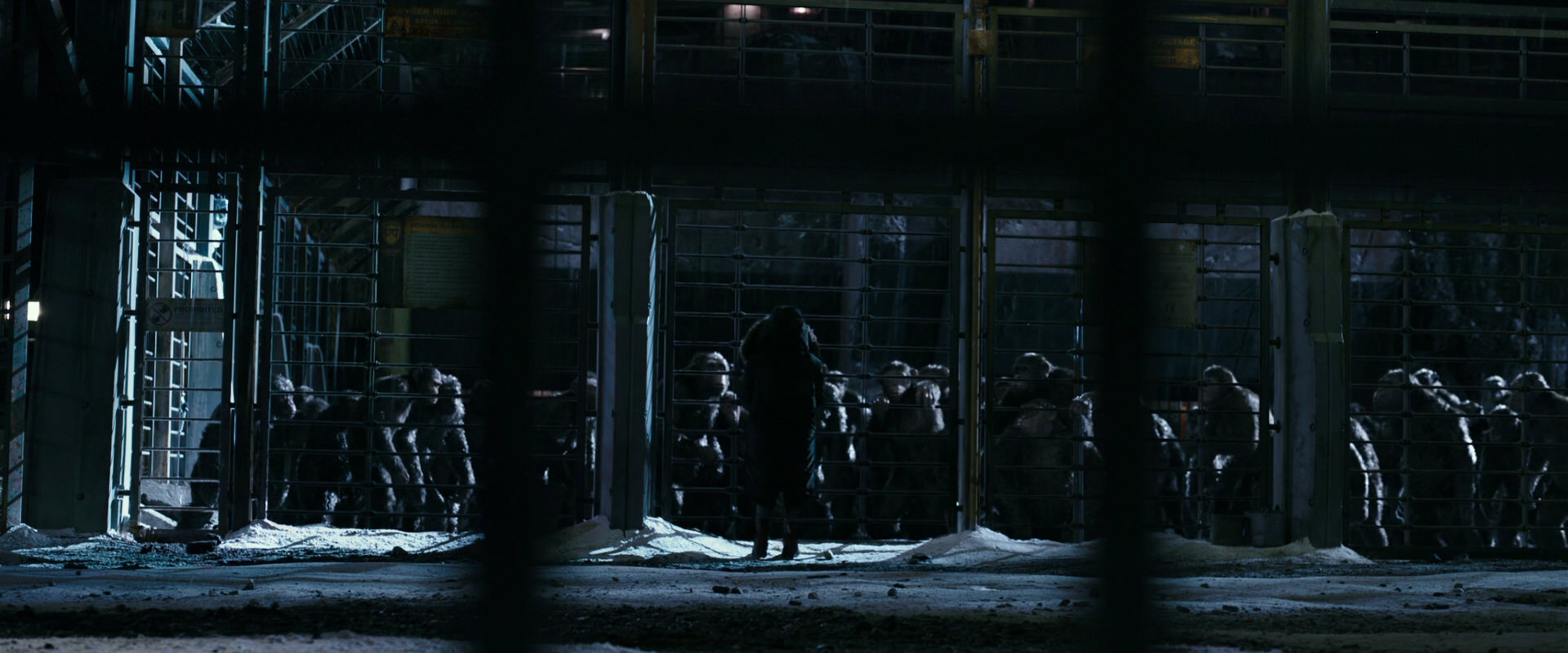 War for the Planet of the Apes (2017) HD screenshot 10916