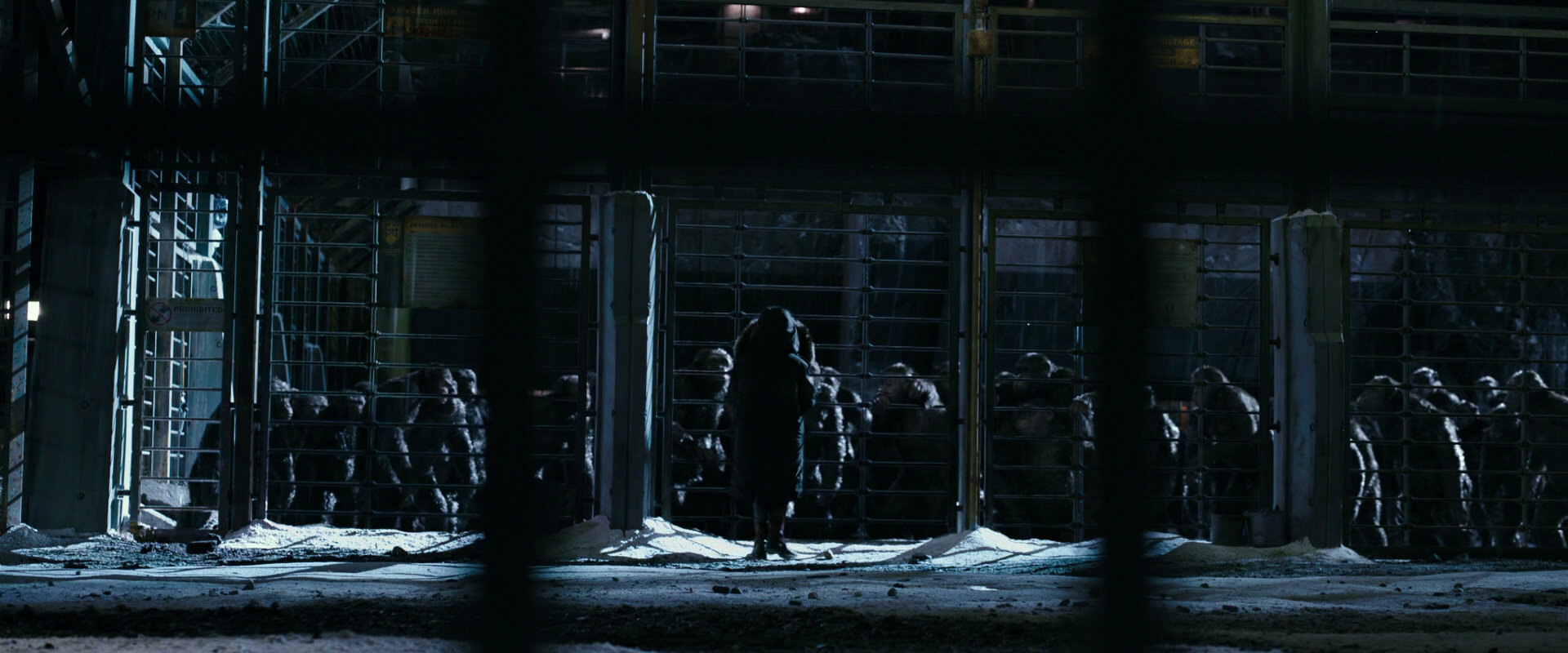 War for the Planet of the Apes (2017) screencap 10917