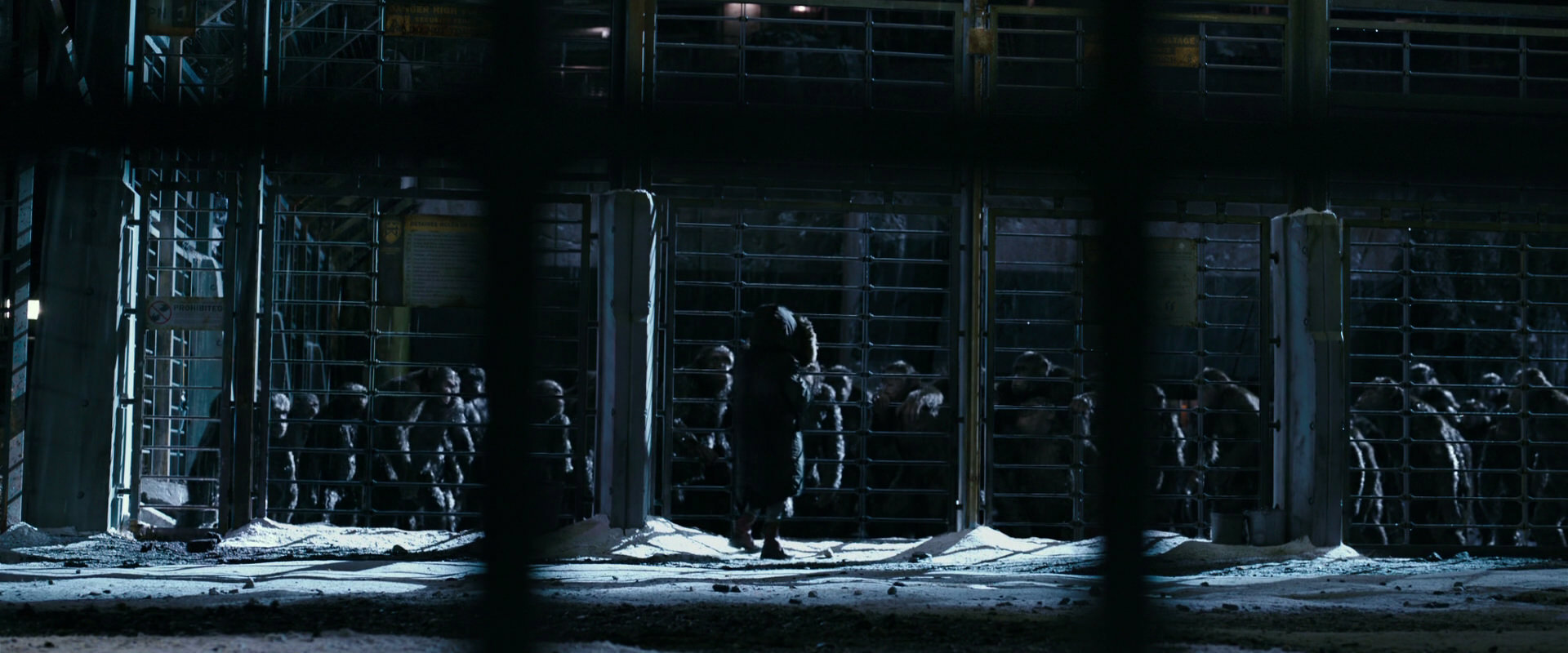 War for the Planet of the Apes (2017) movie still 10918