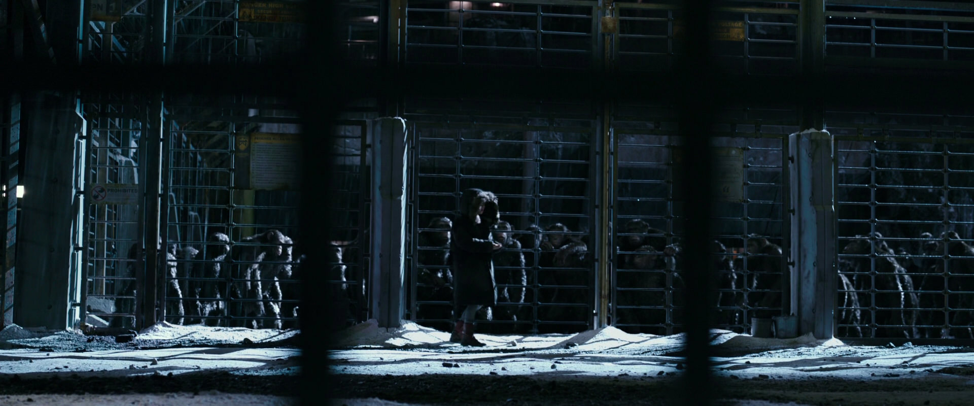War for the Planet of the Apes (2017) HD screenshot 10919