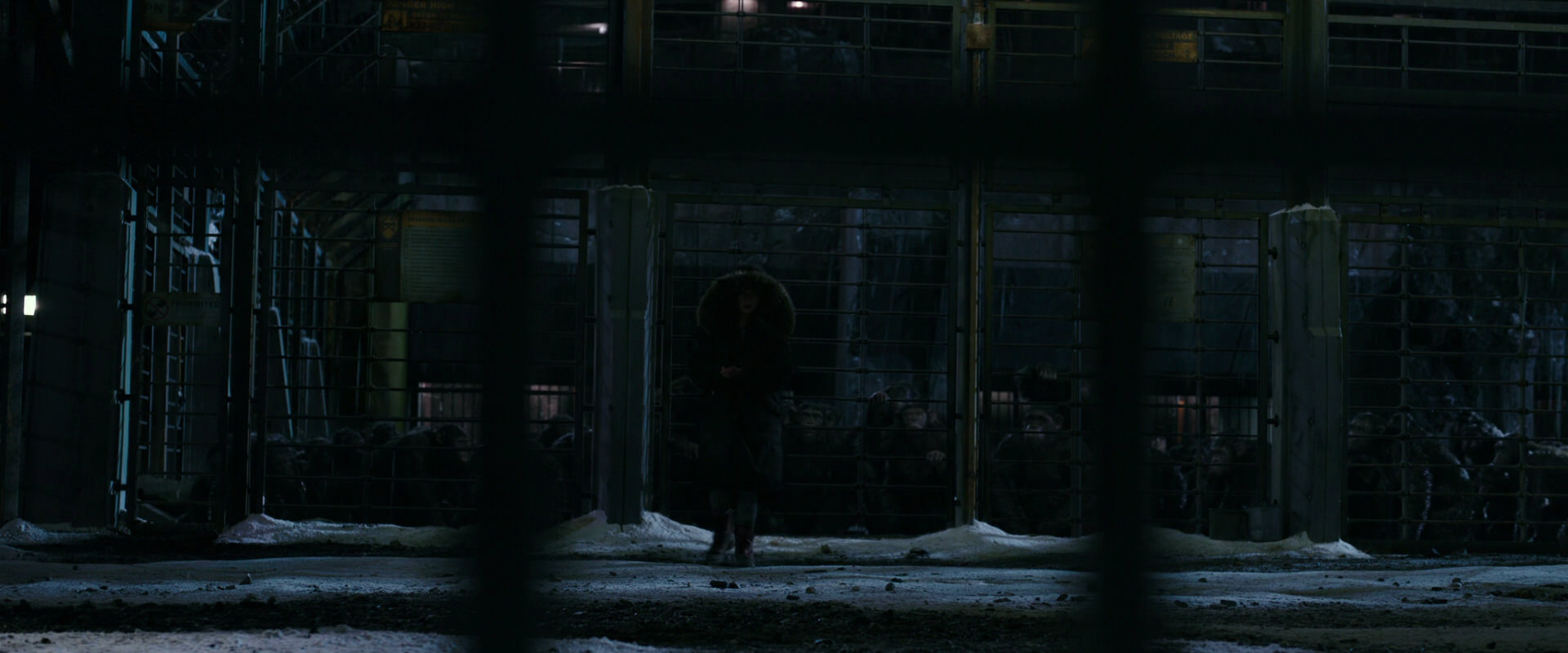 War for the Planet of the Apes (2017) HD screenshot 10928