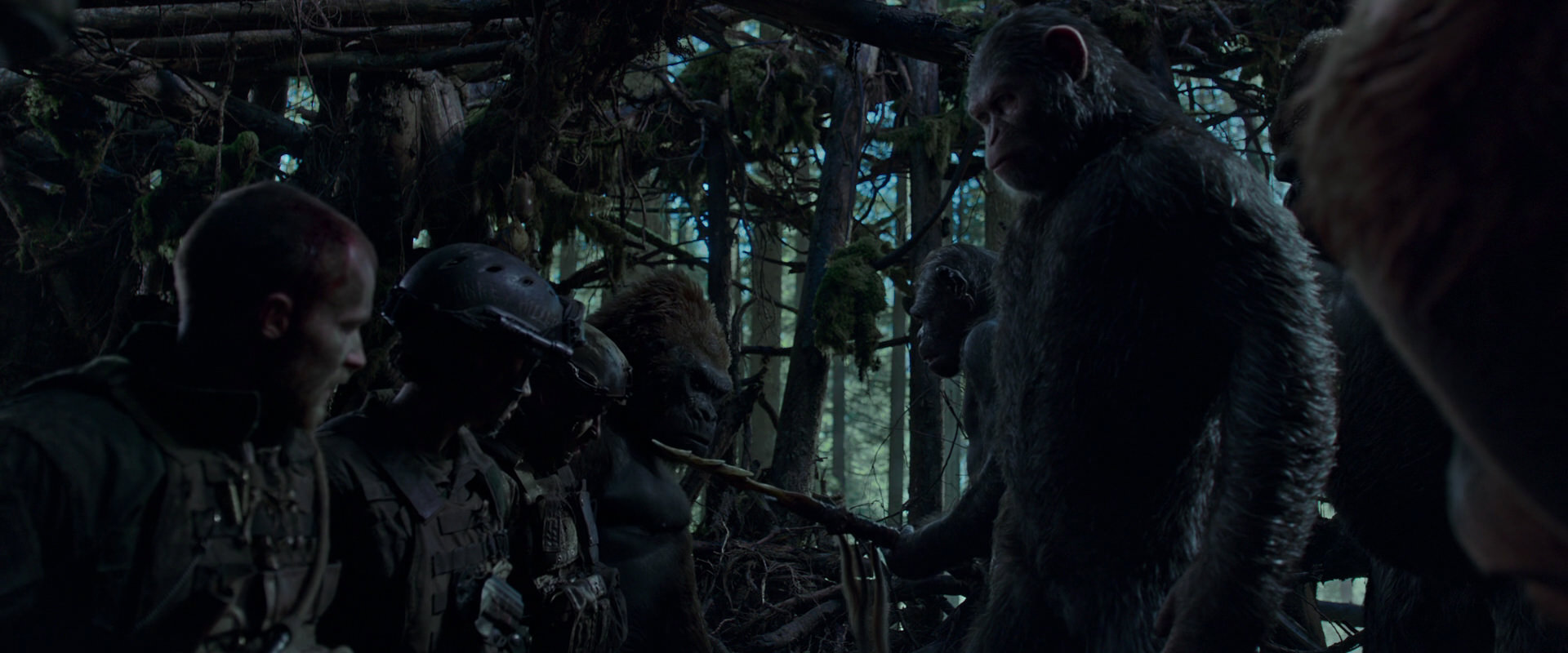 War for the Planet of the Apes (2017) movie still 1093