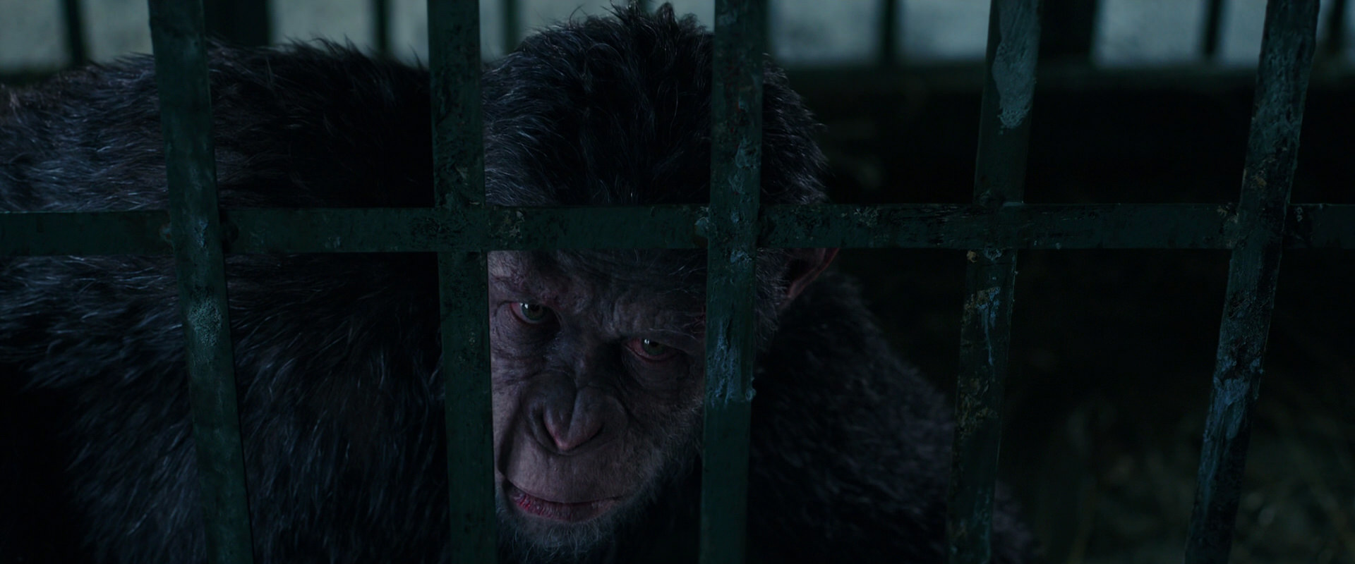 War for the Planet of the Apes (2017) HD screenshot 10934