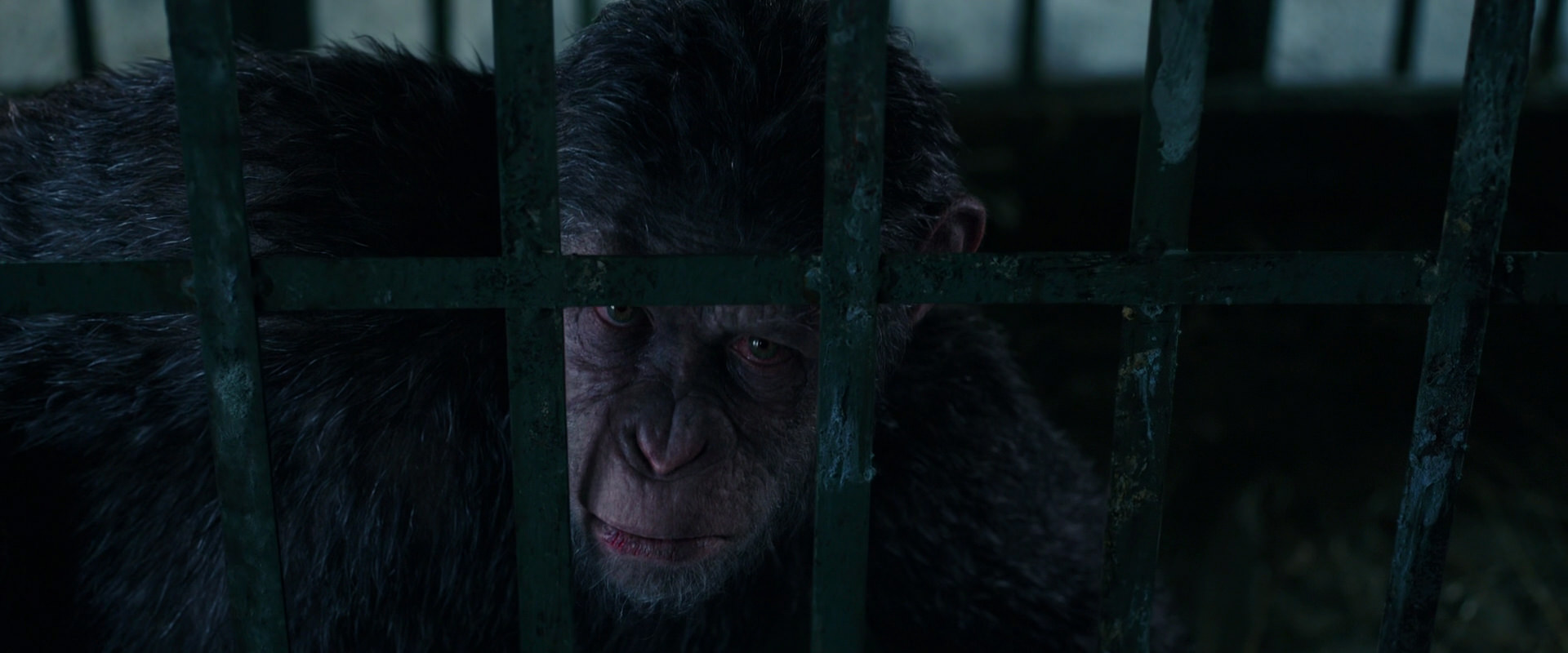 War for the Planet of the Apes (2017) screencap 10935
