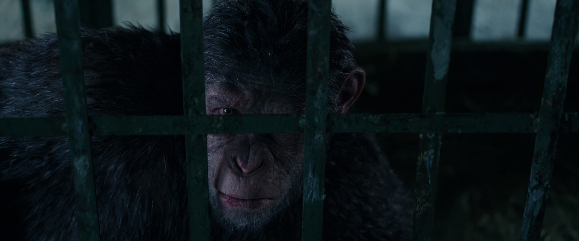 War for the Planet of the Apes (2017) movie still 10936