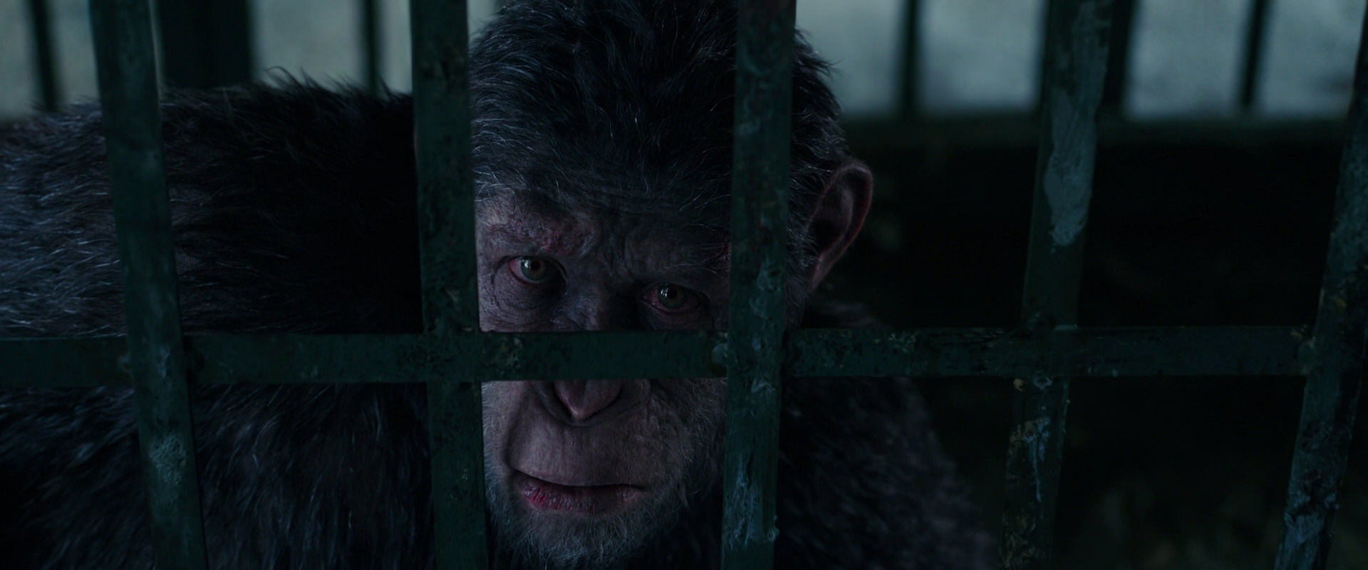War for the Planet of the Apes (2017) HD screenshot 10937