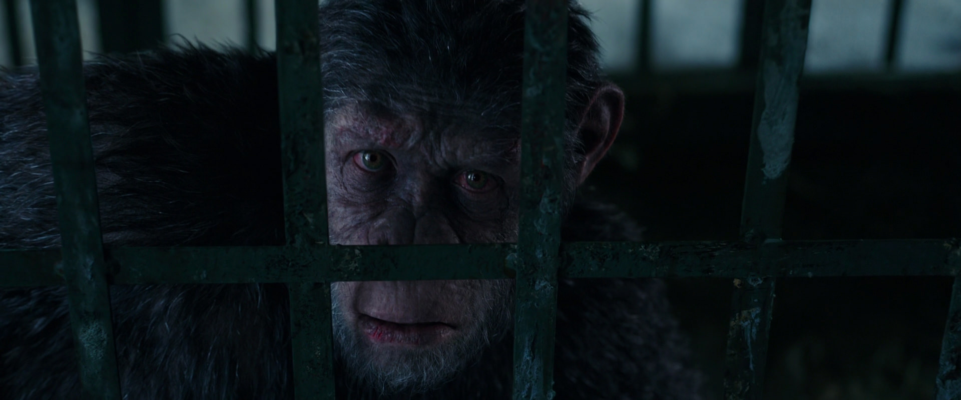 War for the Planet of the Apes (2017) screencap 10938