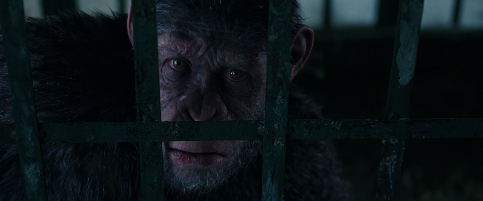 War for the Planet of the Apes (2017) movie still 10939