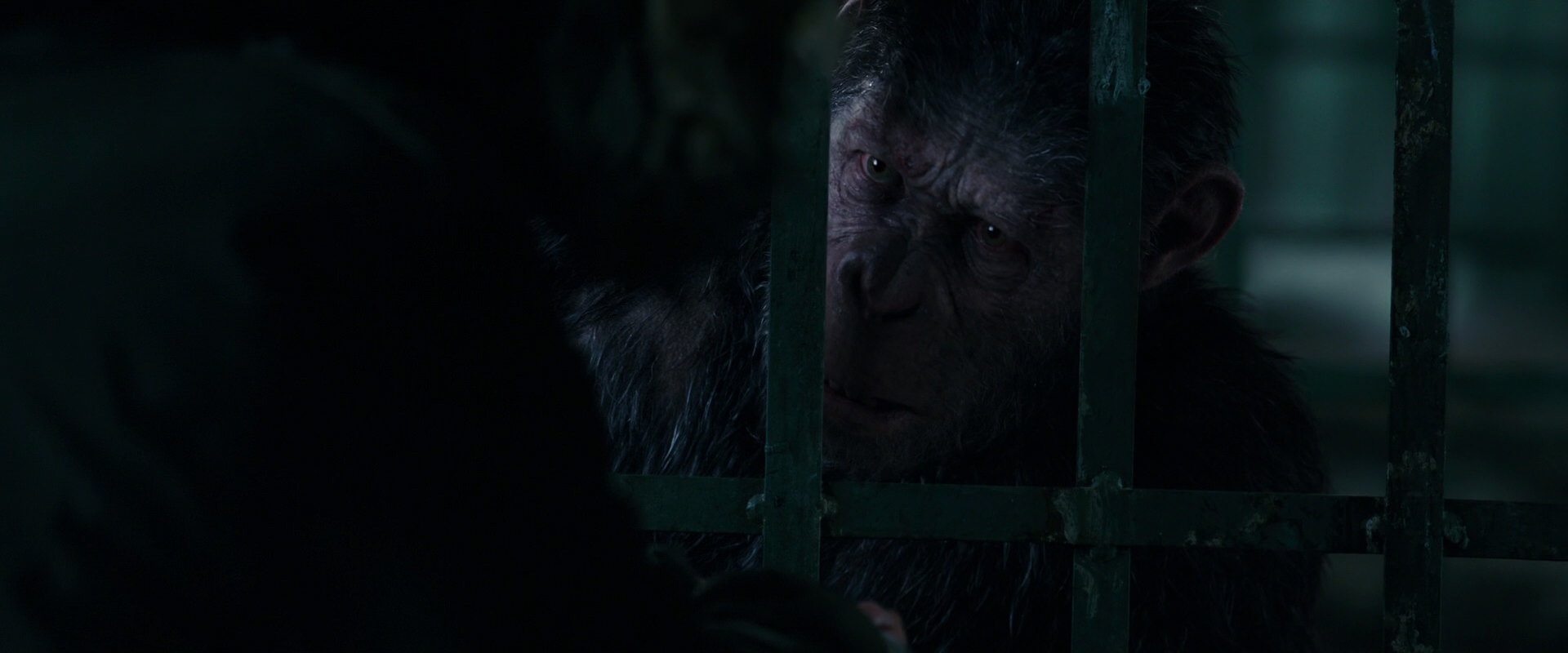War for the Planet of the Apes (2017) screencap 10950