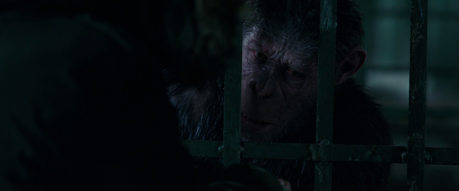 War for the Planet of the Apes (2017) movie still 10951