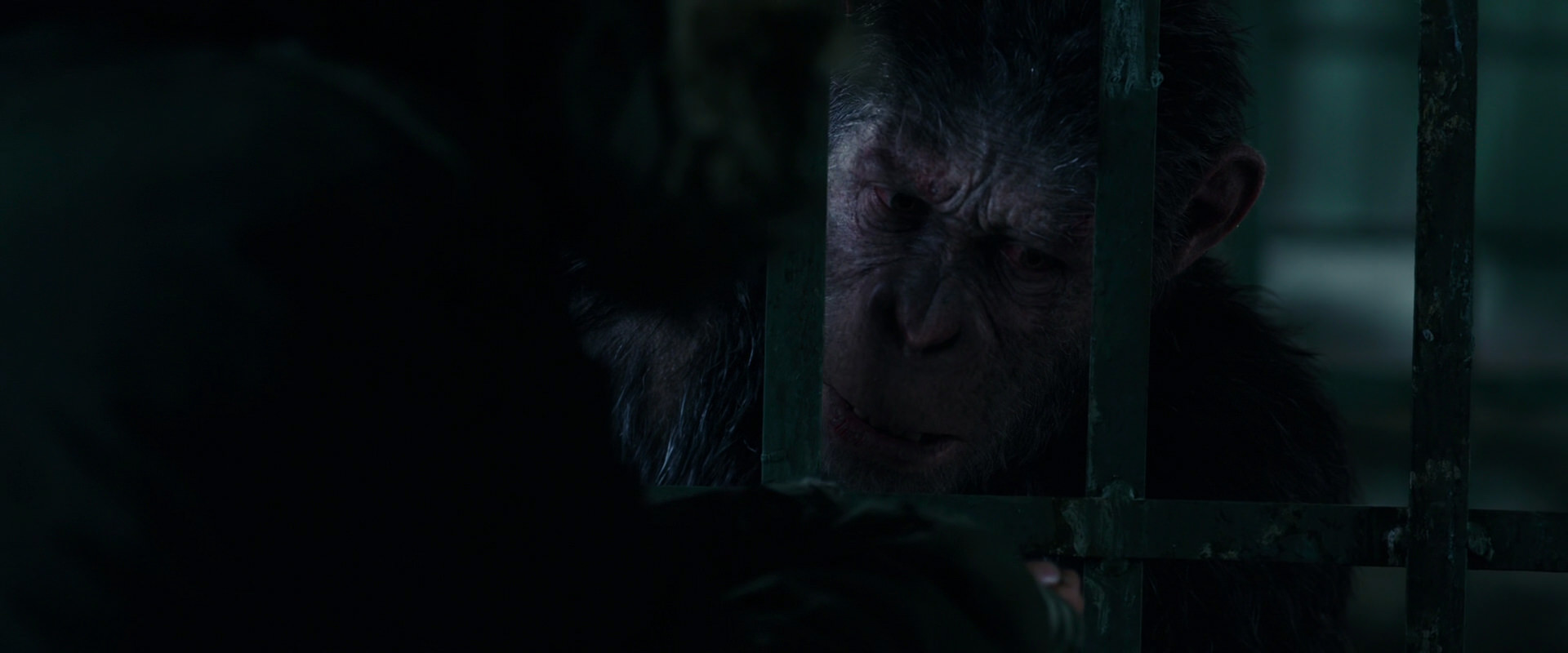 War for the Planet of the Apes (2017) HD screenshot 10952